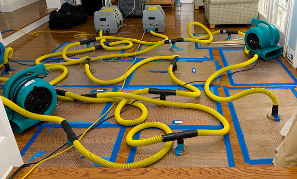 Professional Basement Flood Cleanup technician working in Montchanin, DE